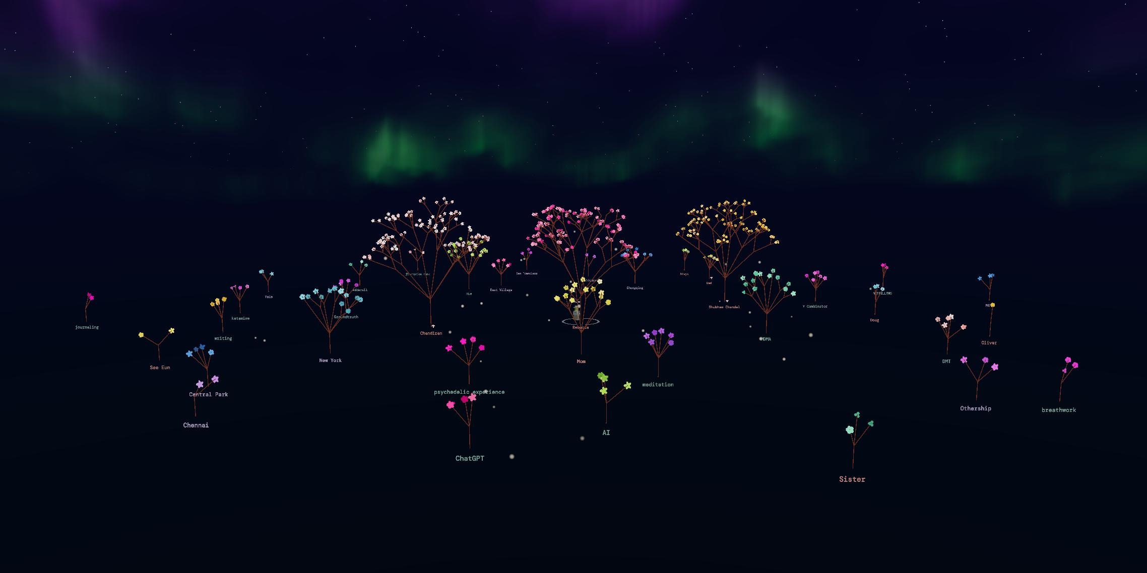 Every person and topic in a life represented as a flowering tree beneath an aurora