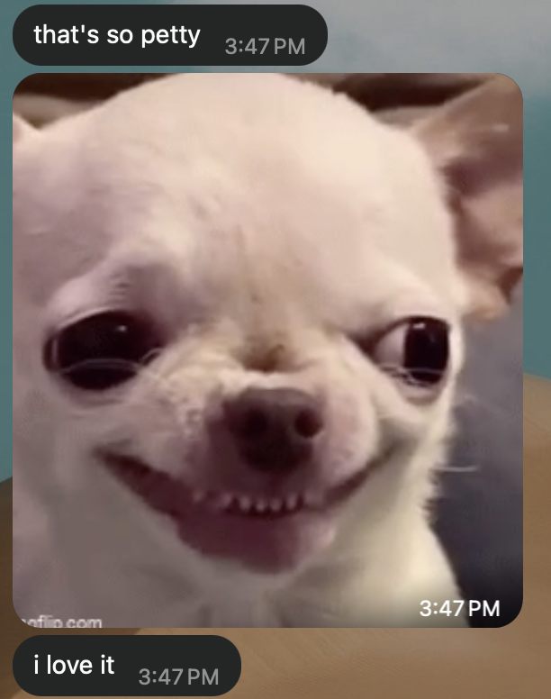 WhatsApp, Hue replies with a grinning chihuahua GIF: “that’s so petty. i love it.”