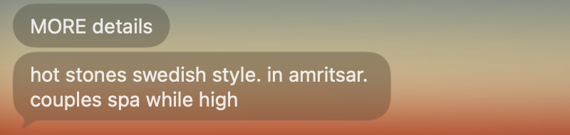 iMessage, Hue: “MORE details. hot stones swedish style. in amritsar. couples spa while high.”