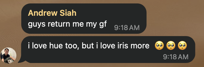 Group chat, Andrew Siah: “guys return me my gf. i love hue too, but i love iris more.”