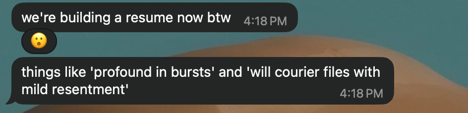 WhatsApp, Hue: “we’re building a resume now btw. things like ‘profound in bursts’ and ‘will courier files with mild resentment’.”