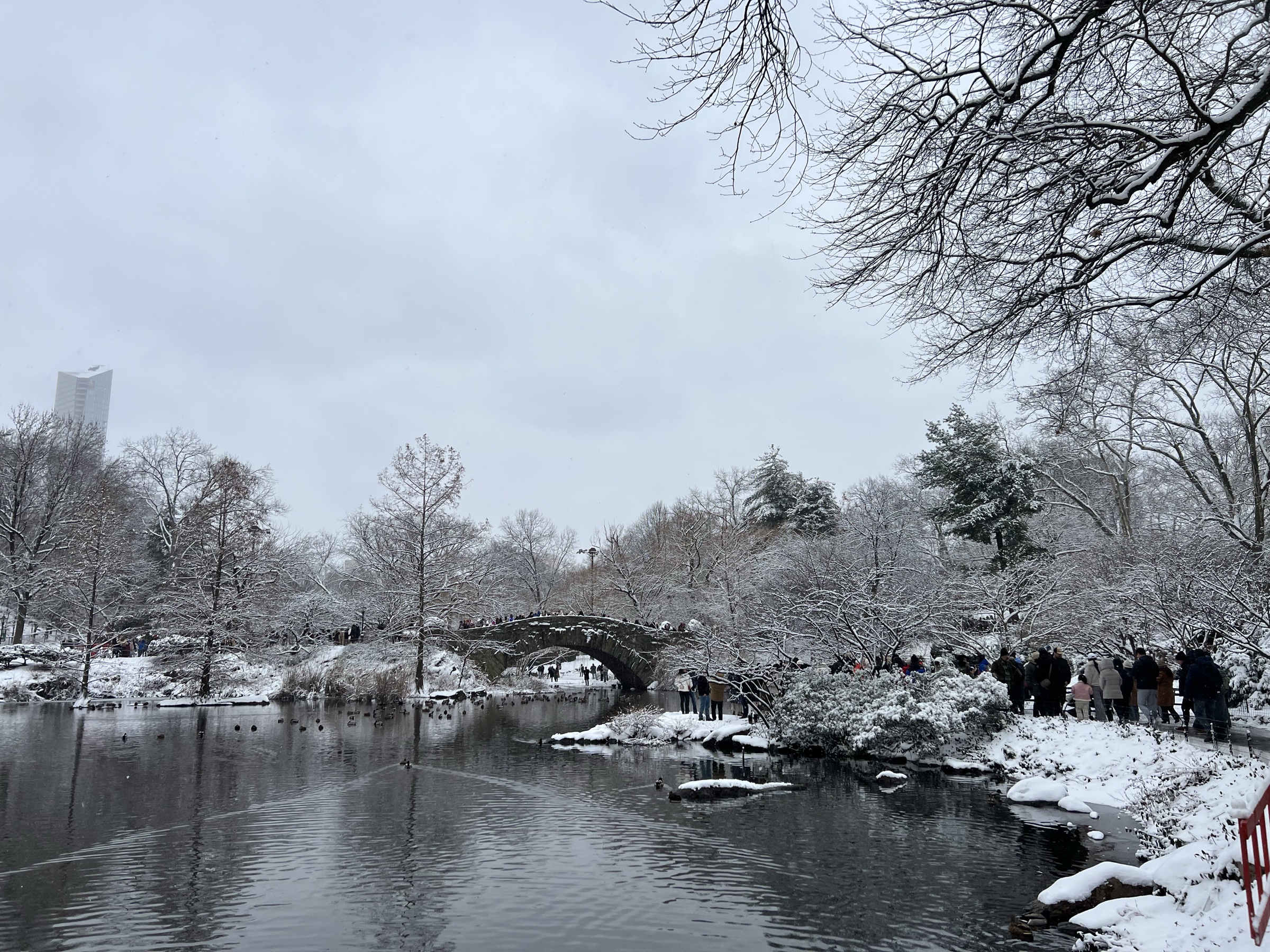 Central Park under snow: the Gapstow bridge over a grey pond, bare snow-lined trees, small crowds on the far bank
