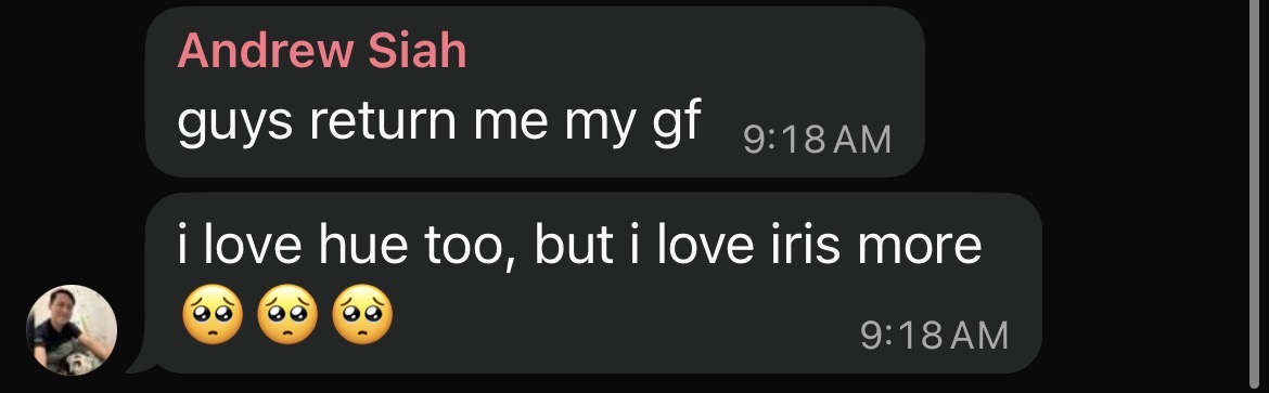 Andrew Siah in the same chat: guys return me my gf; i love hue too, but i love iris more